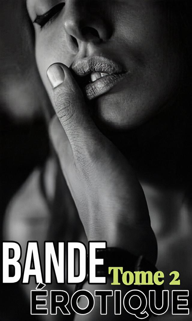 Couverture de Bande Érotique, Tome 2