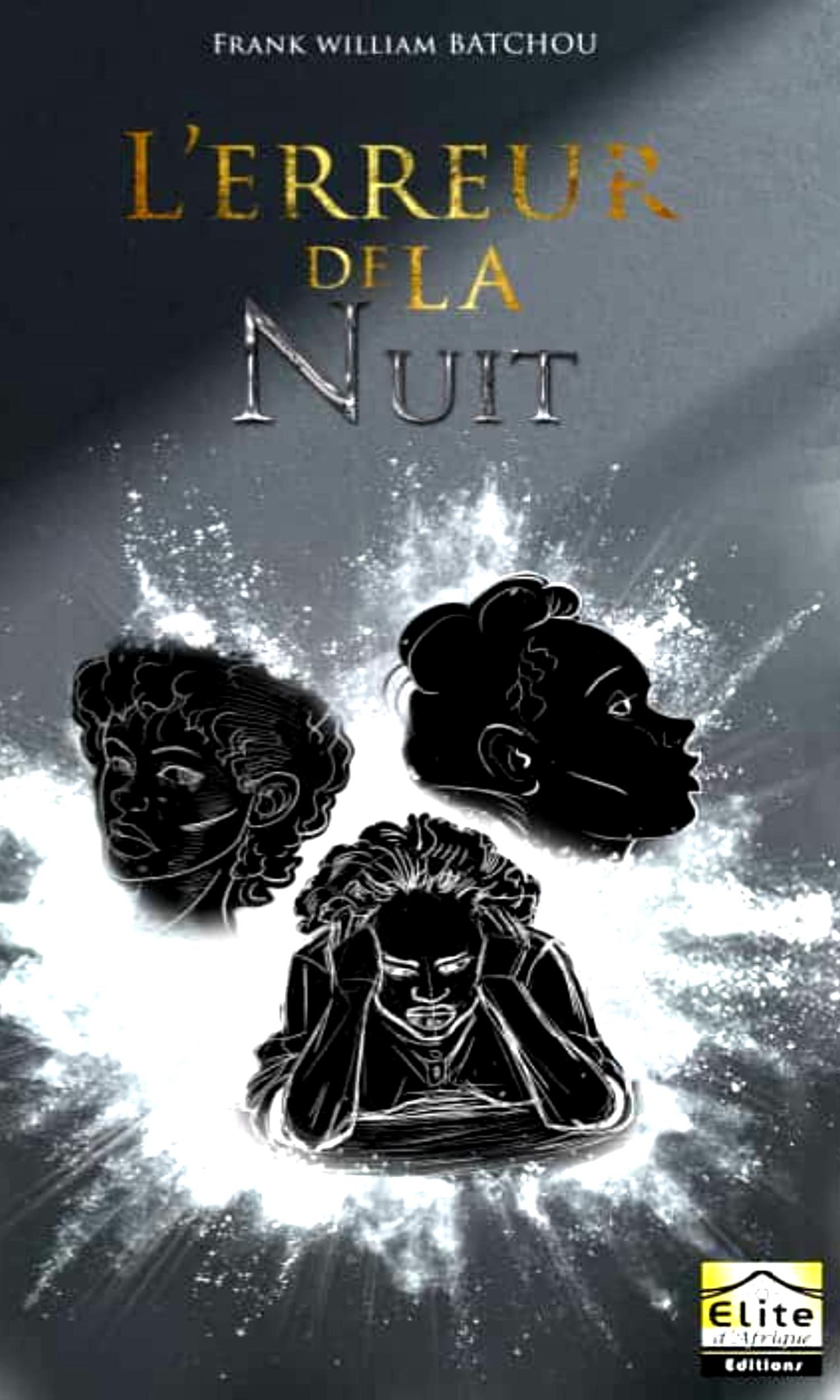Couverture de L'erreur de la nuit