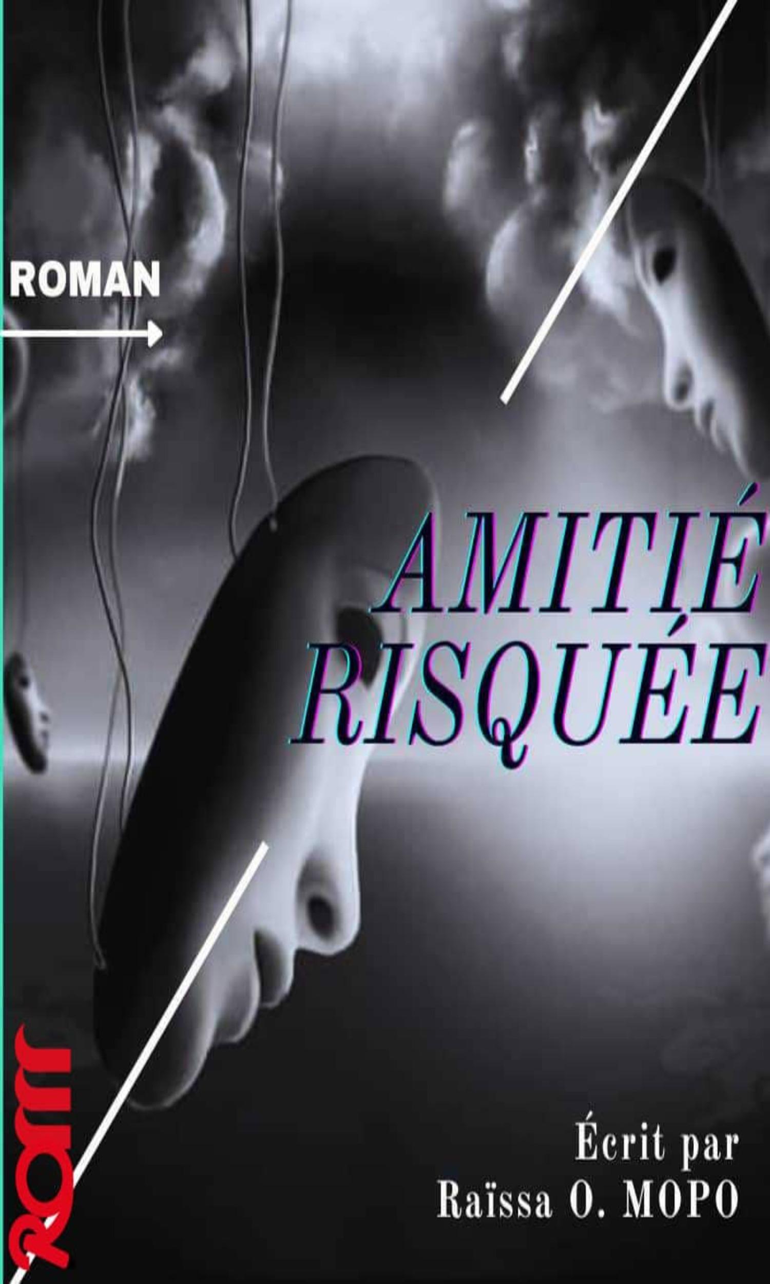Couverture de Amitié Risquée