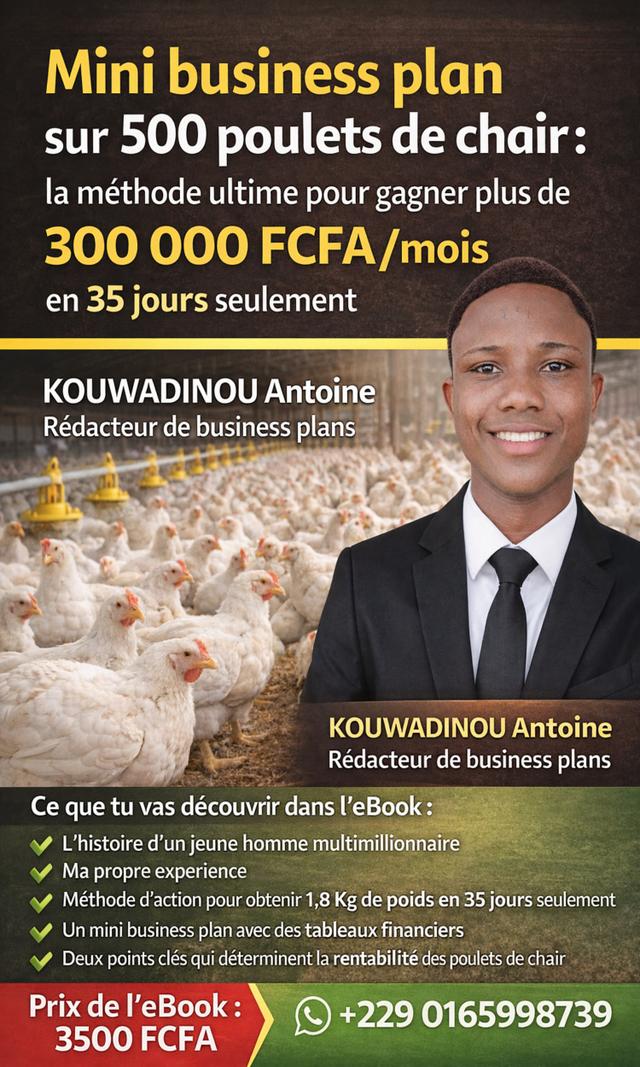 Couverture de Mini-business plan sur 500 poulets de chair: la méthode ultime pour gagner plus de 300 000fcfa en 35 jours seulement
