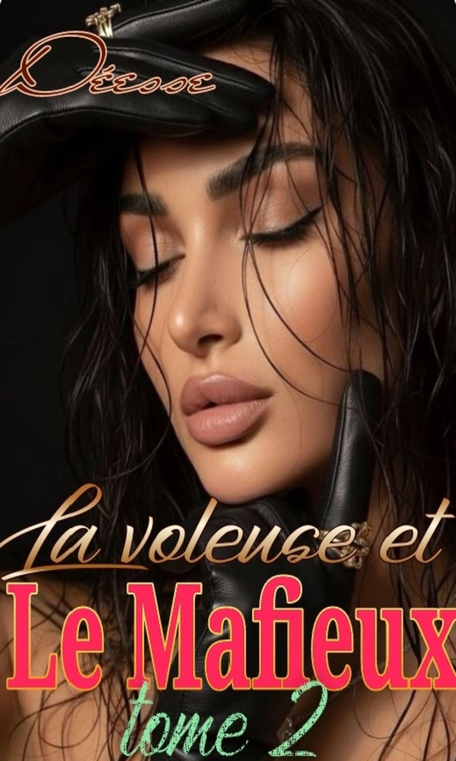 Couverture de La voleuse et le Mafieux tome 2