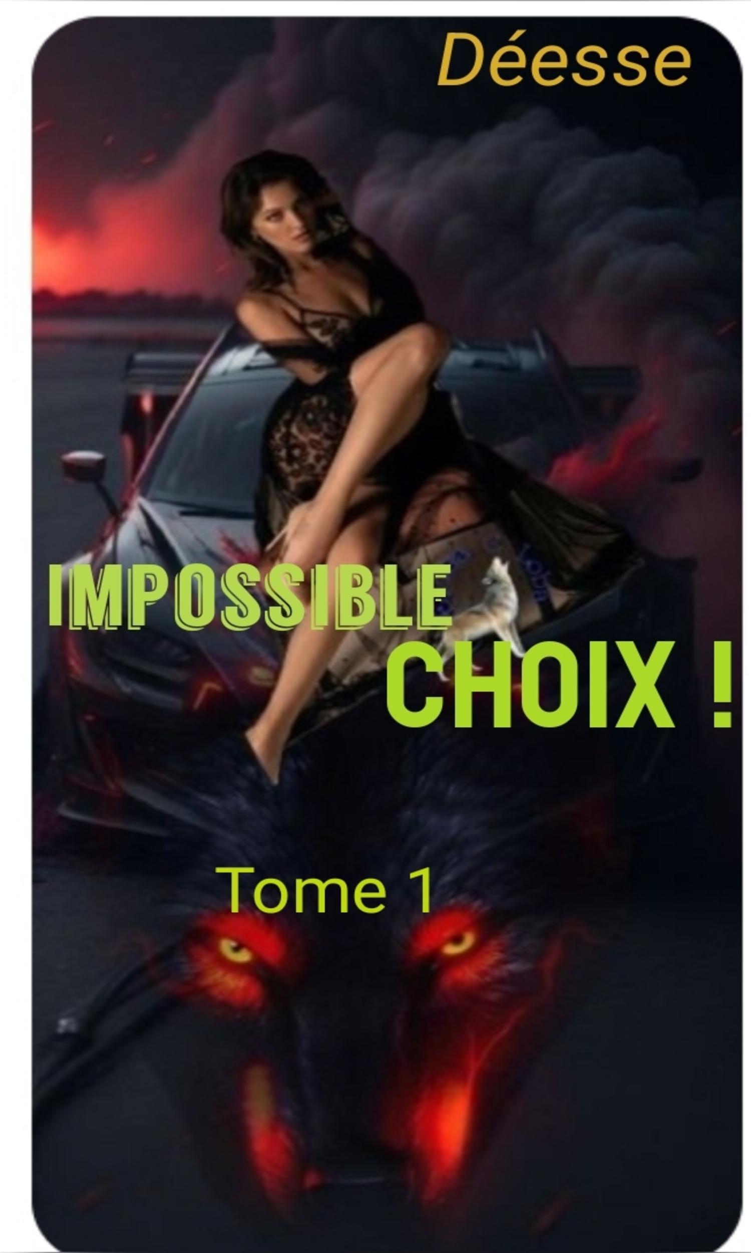 Couverture de Impossible choix Tome 1
