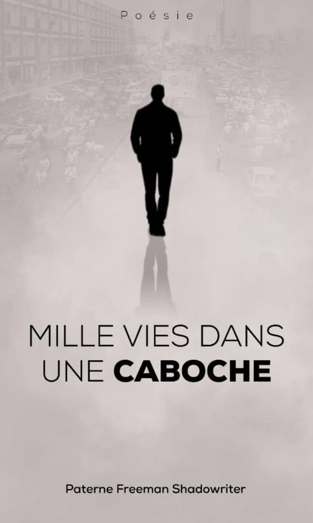 Couverture de Mille vies dans une caboche