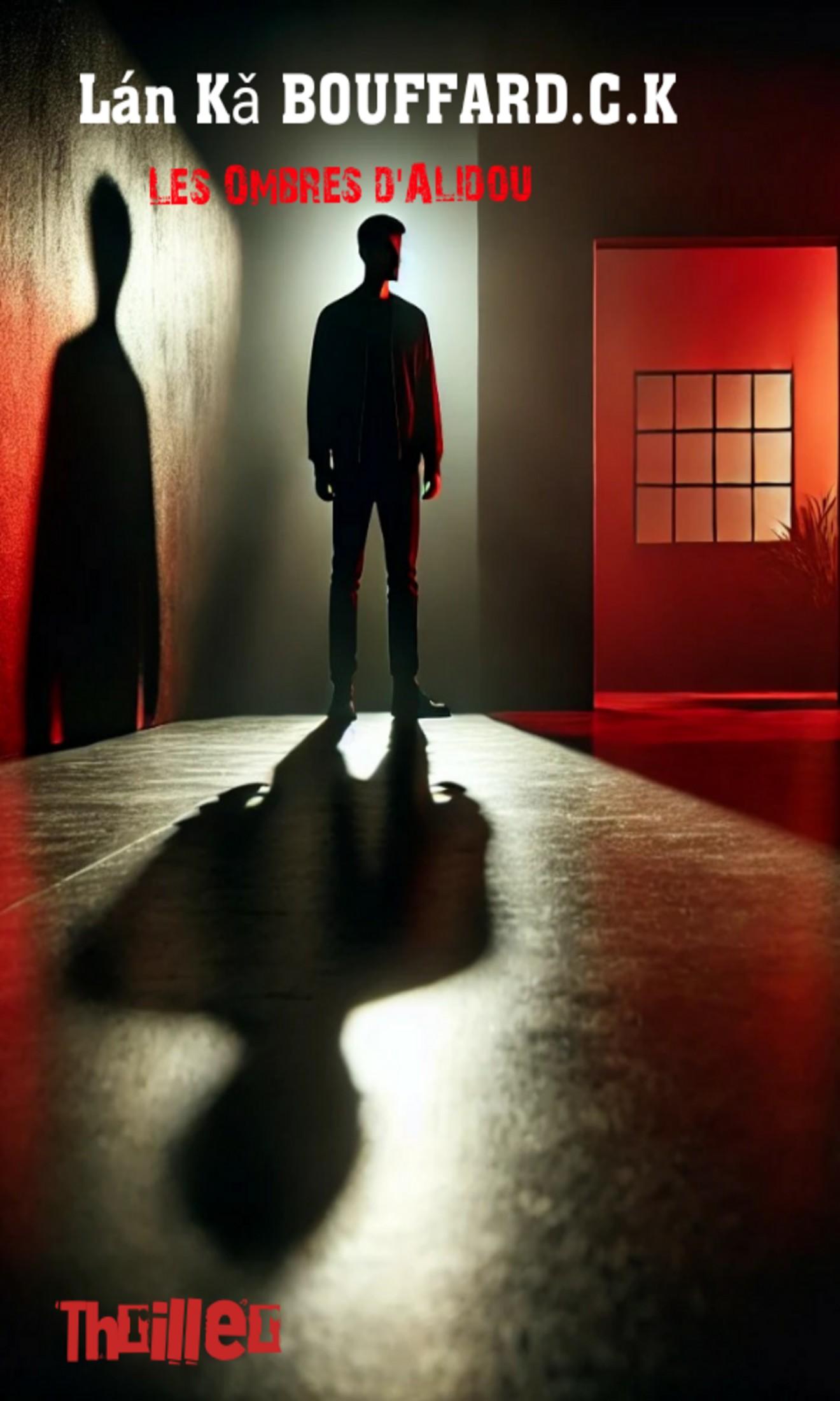 Couverture de Les ombres d'Alidou