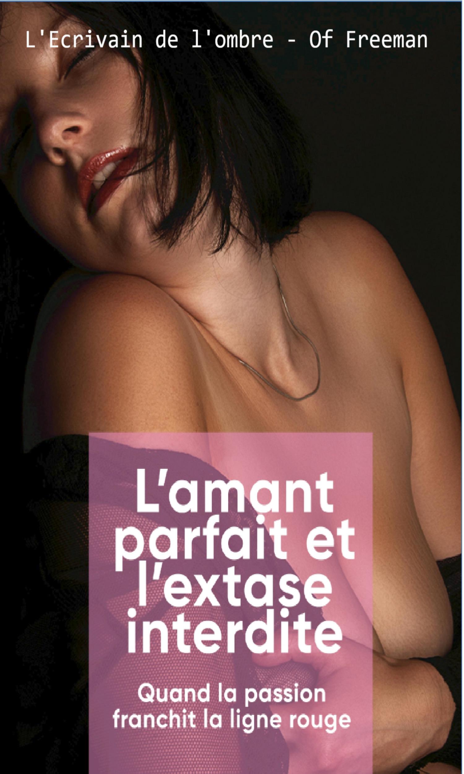 Couverture de L'amant parfait et l'extase interdite