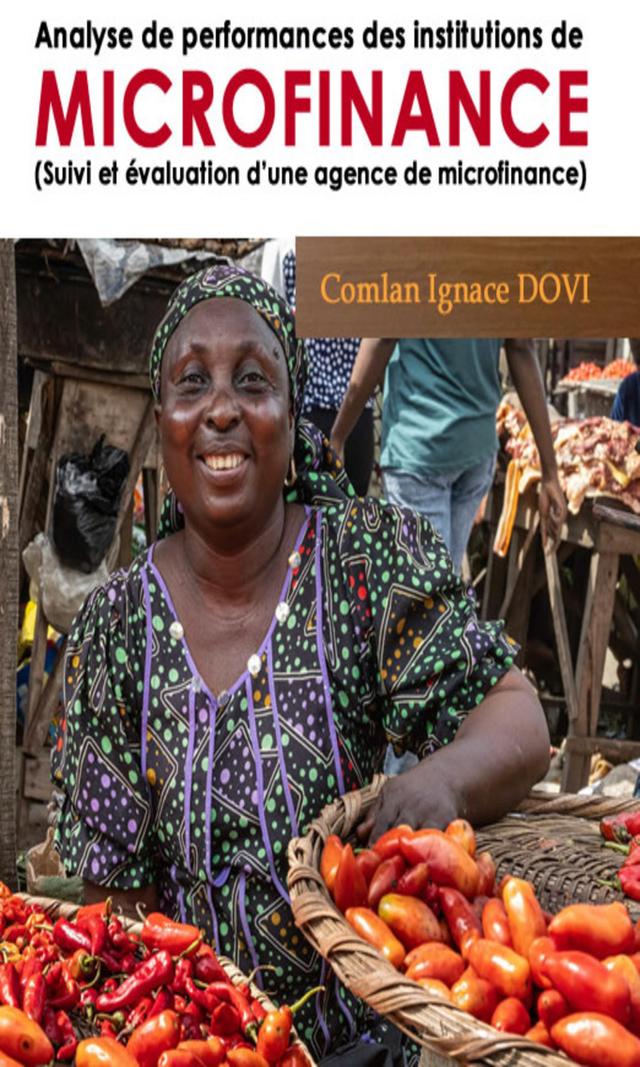 Couverture de Analyse des performances des institutions de microfinance