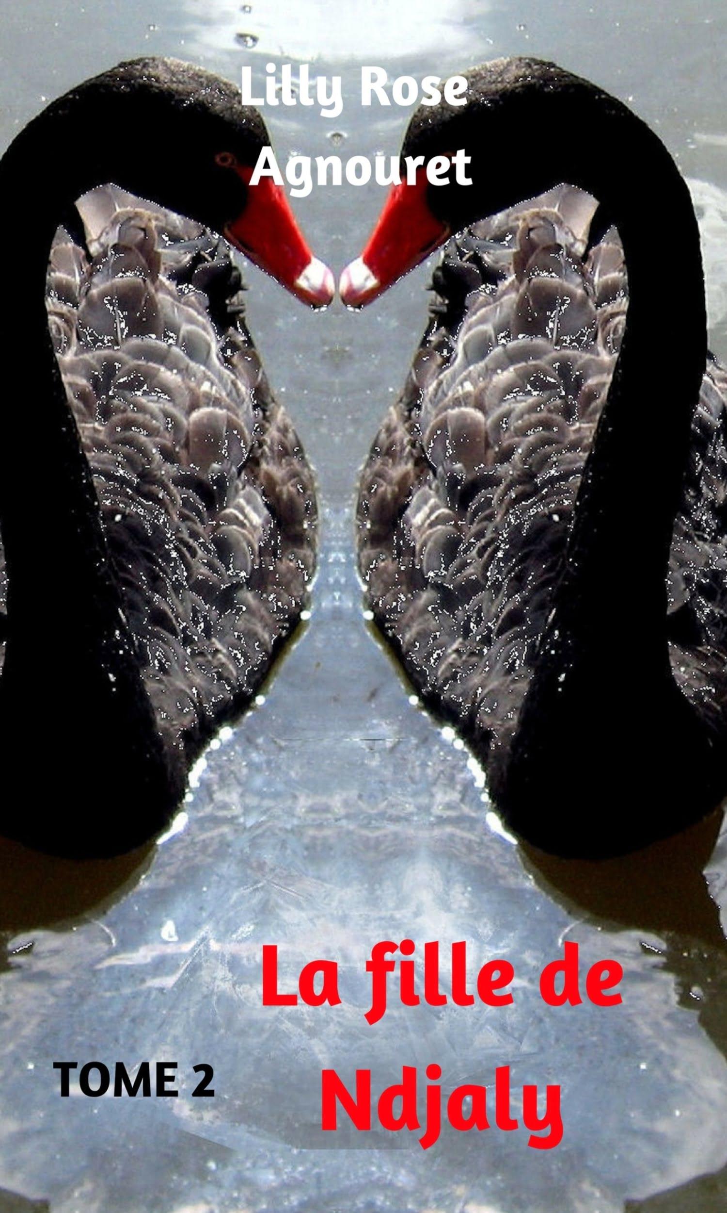 Couverture de La fille de NDJALY -Tome 2-