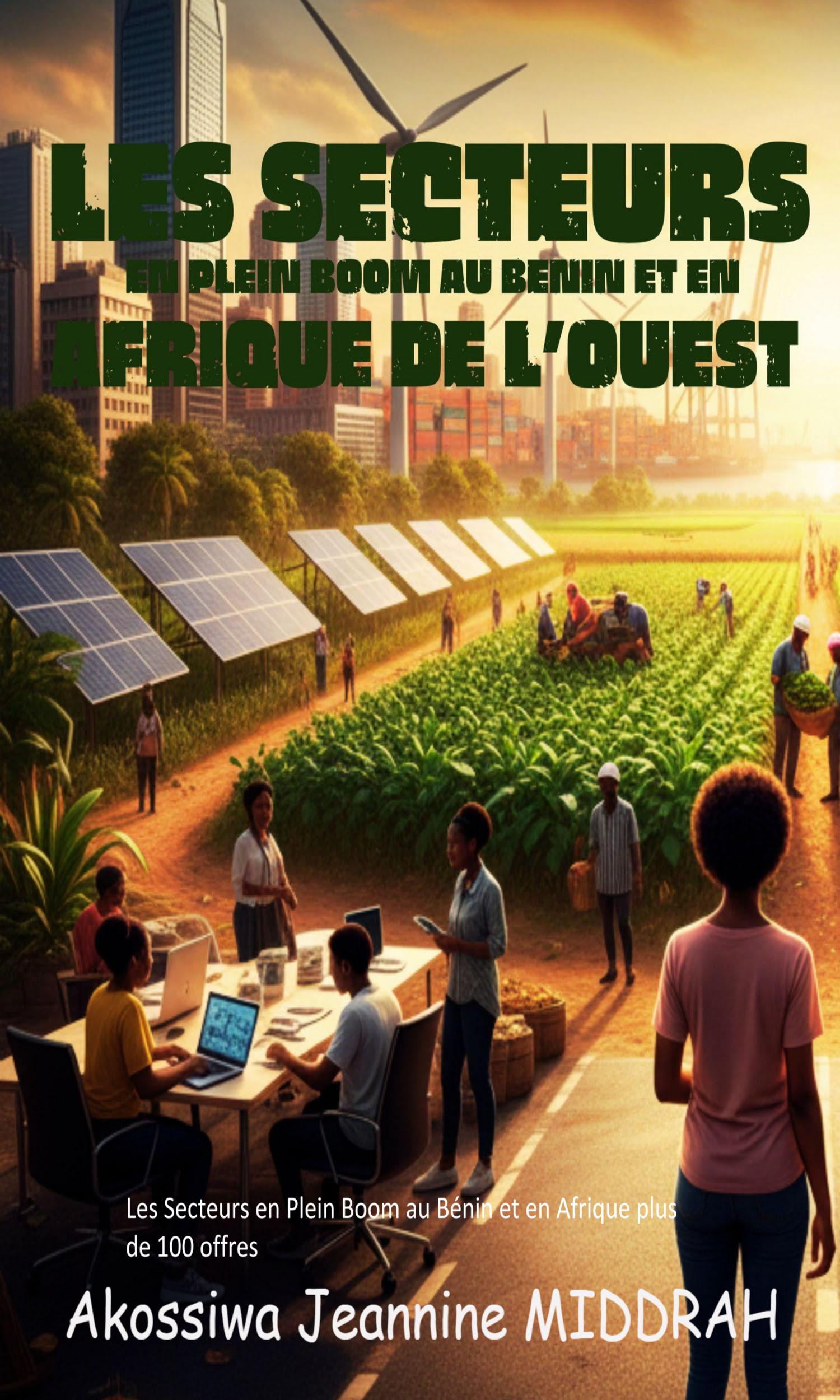 Couverture de Les secteurs en plein Boom au Benin et en Afrique de L' ouest 