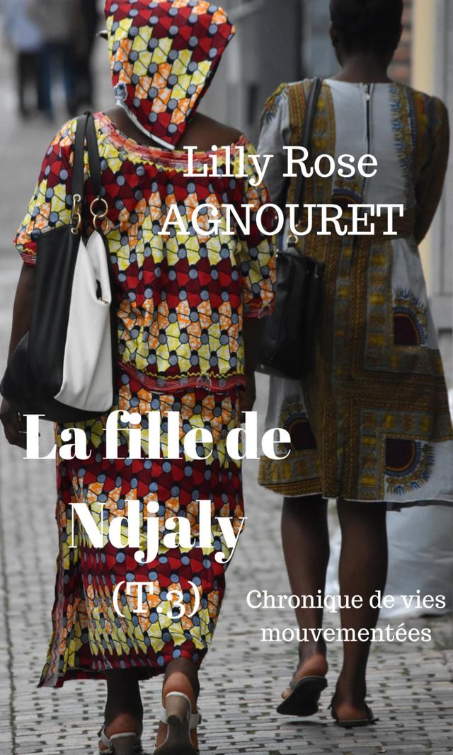 Couverture de La fille de NDJALY -Tome 3-