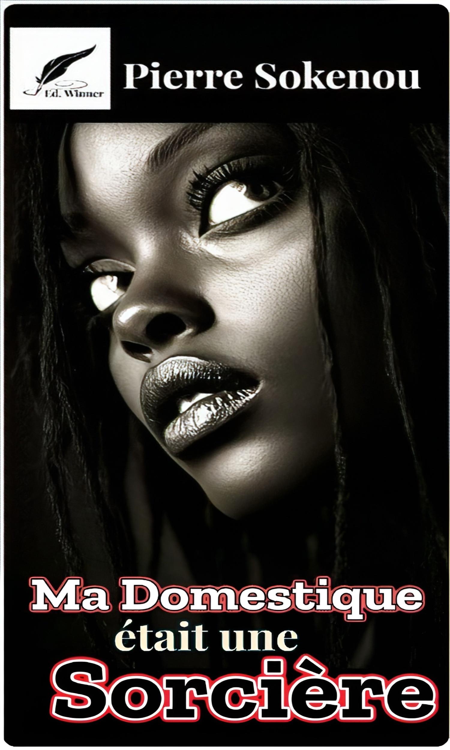 Couverture de Ma domestique était une sorcière