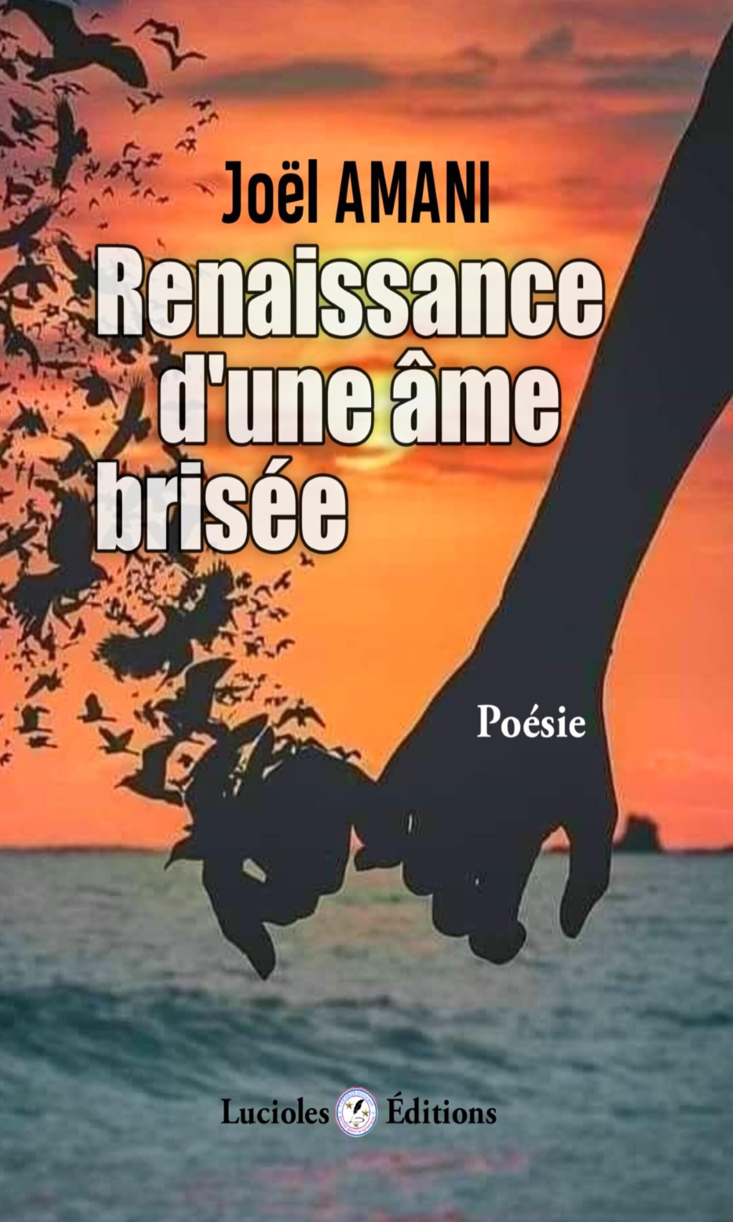 Couverture de Renaissance d'une âme brisée