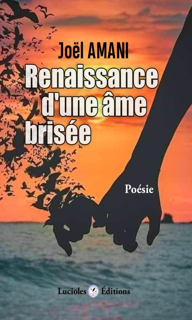 Couverture de Renaissance d'une âme brisée