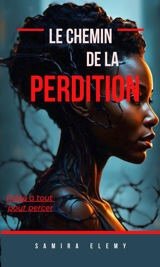 Couverture de Le chemin de la perdition