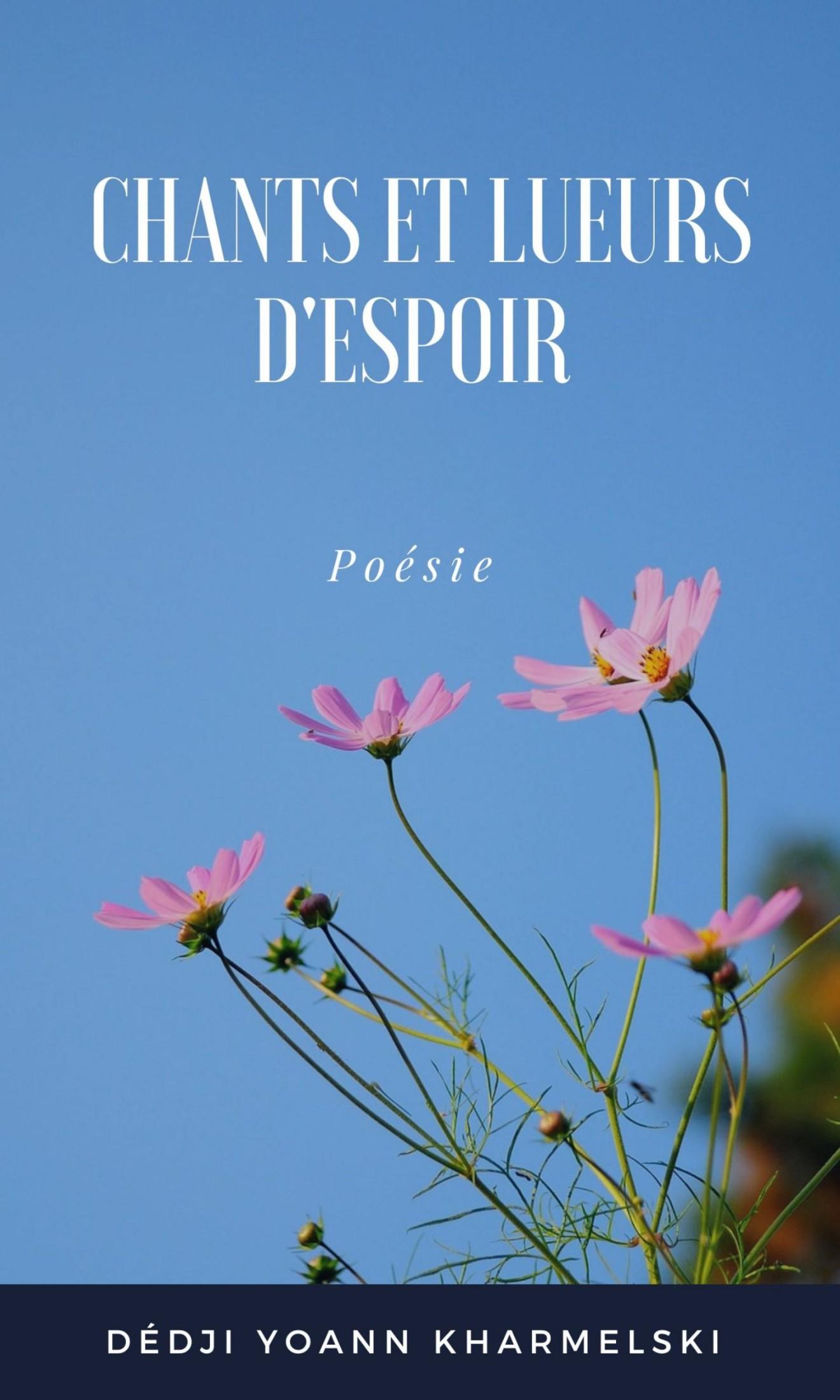 Couverture de Chants et lueurs d'espoir