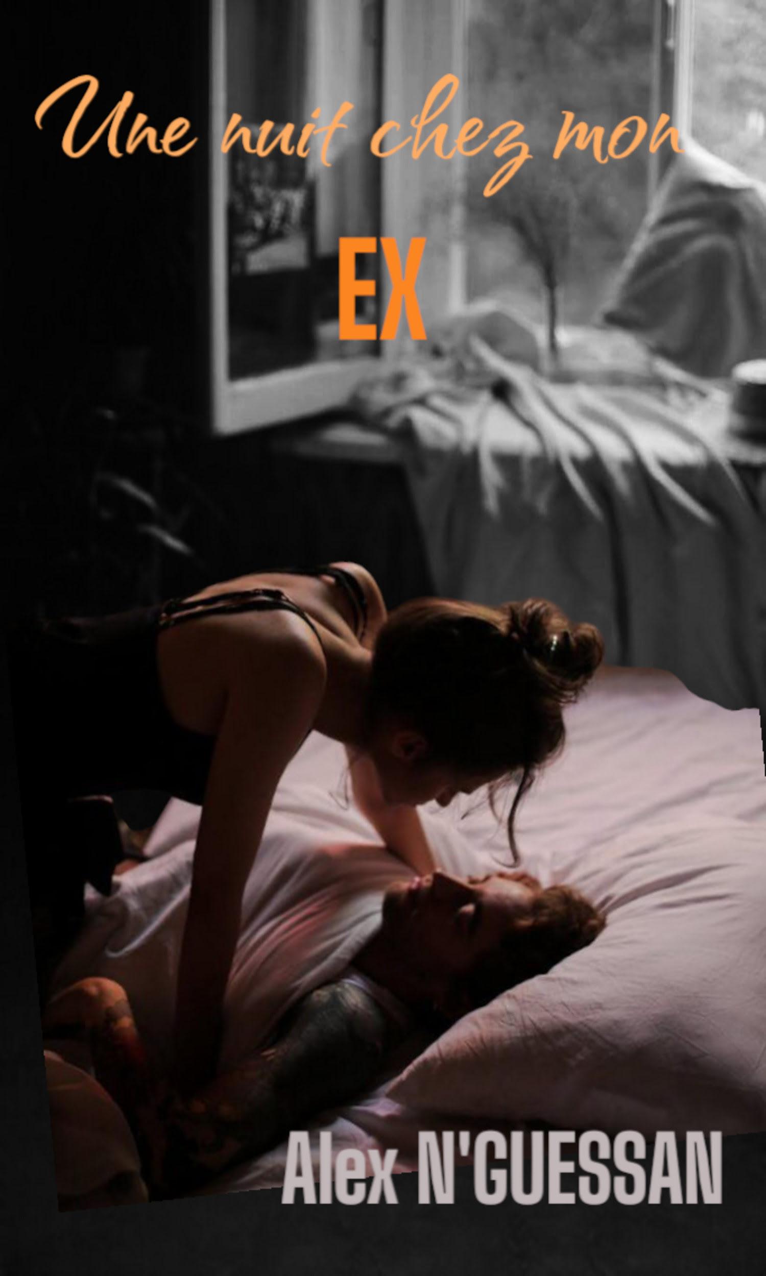 Couverture de Une nuit chez mon ex