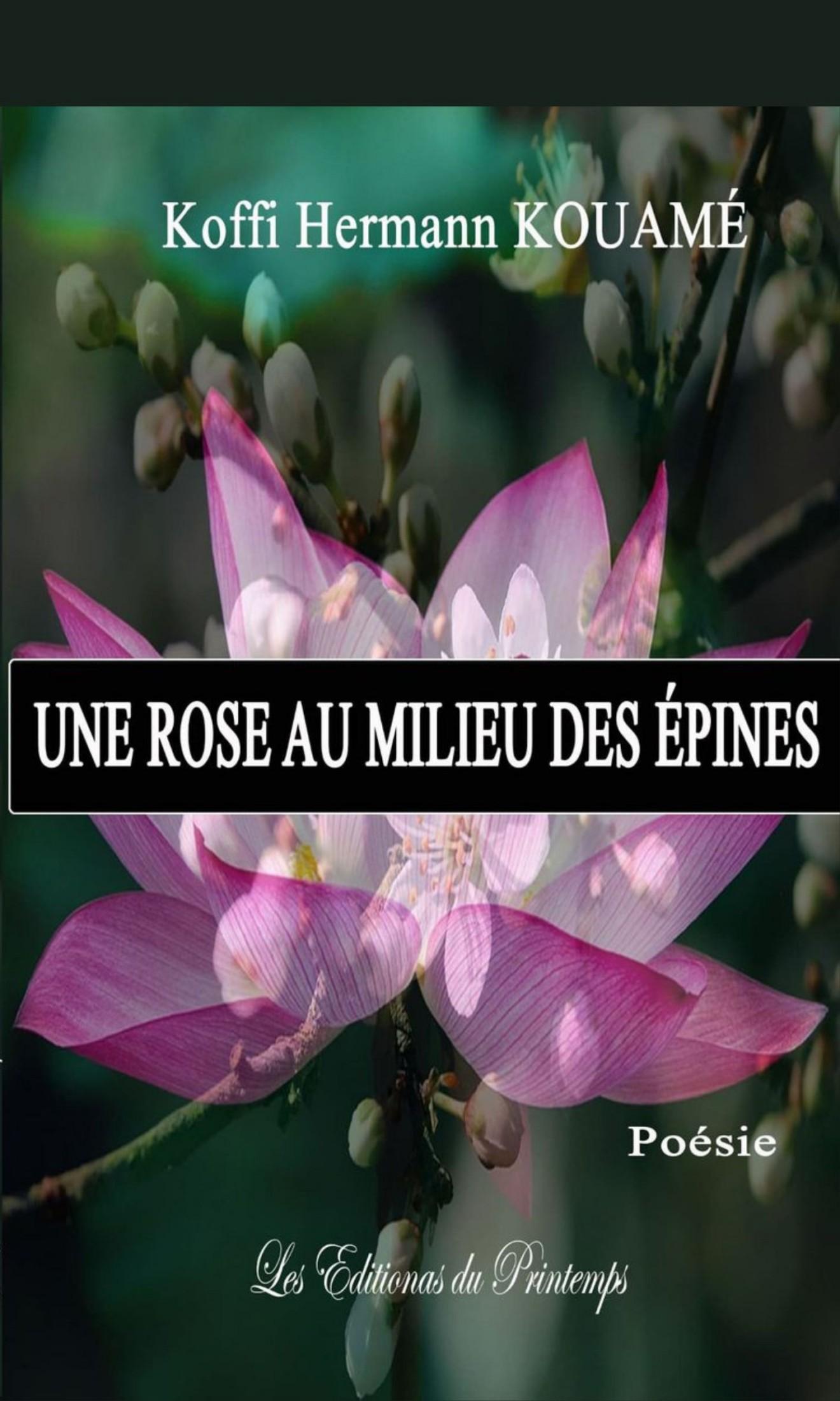 Couverture de Une rose au milieu des épines