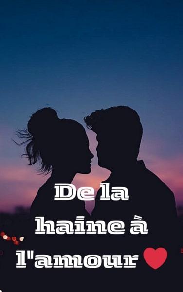 Couverture de De la haine à l'amour Tome 2