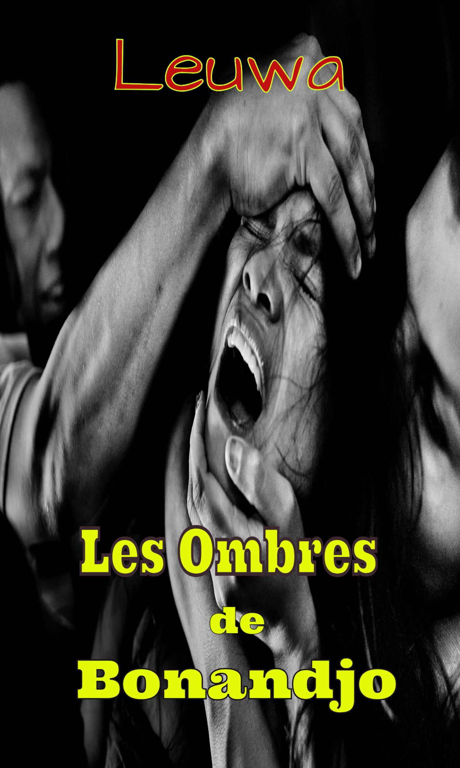 Couverture de Les Ombres de Bonanjo