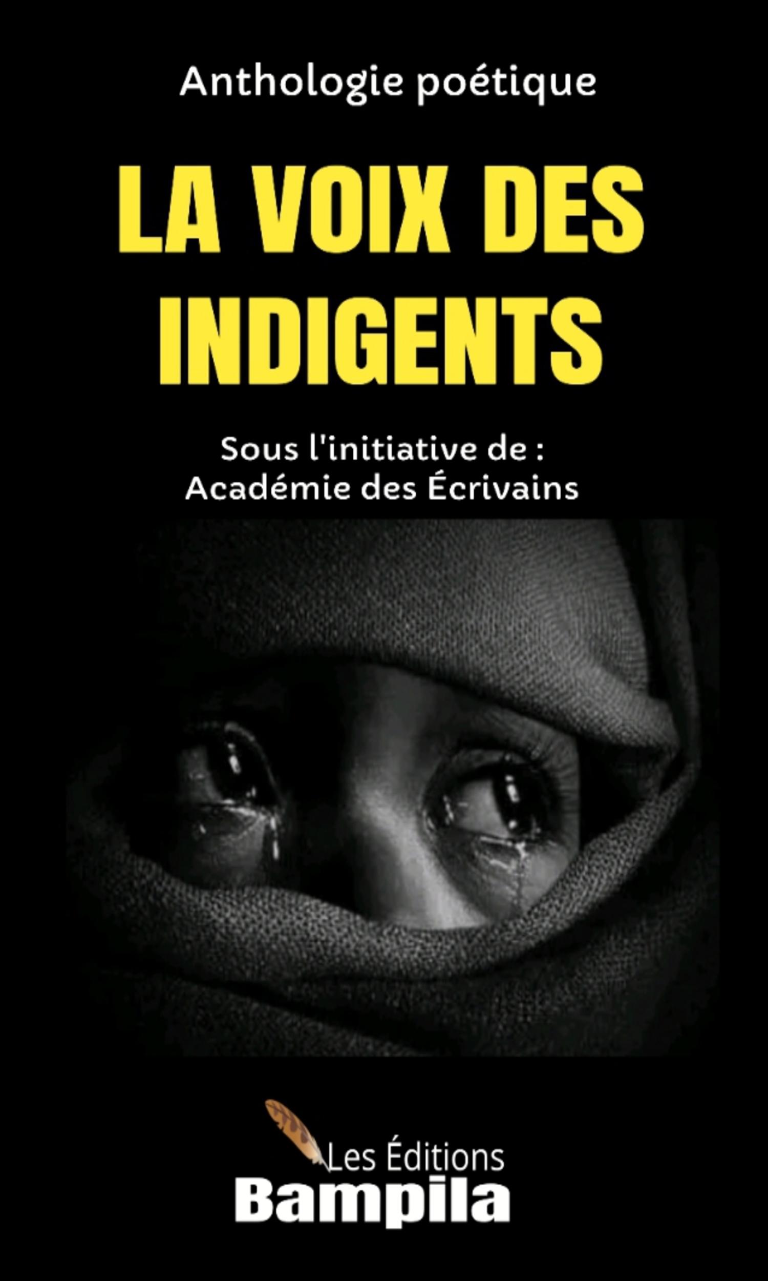 Couverture de La voix des indigents