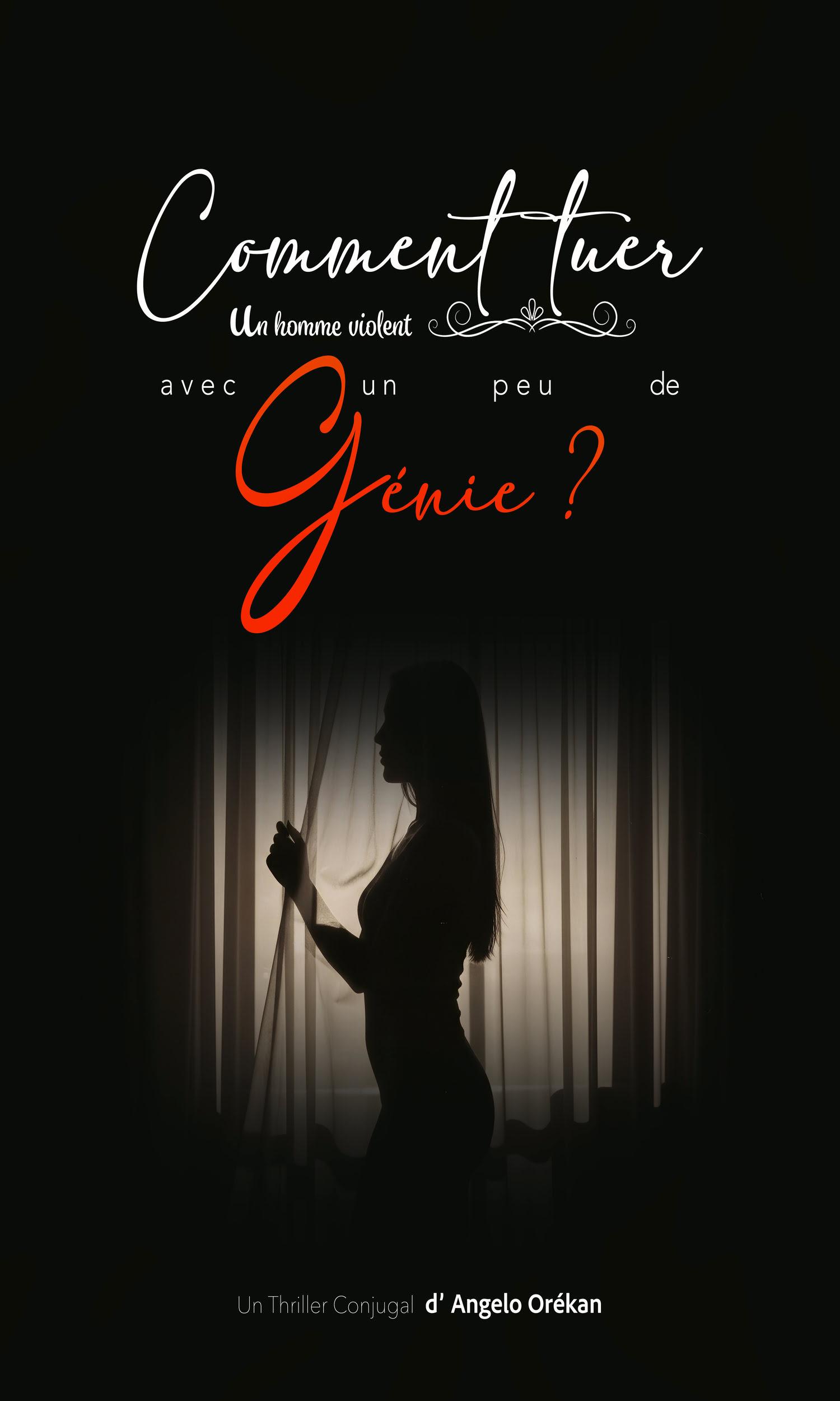 Couverture de Comment tuer un homme violent avec un peu de génie ?