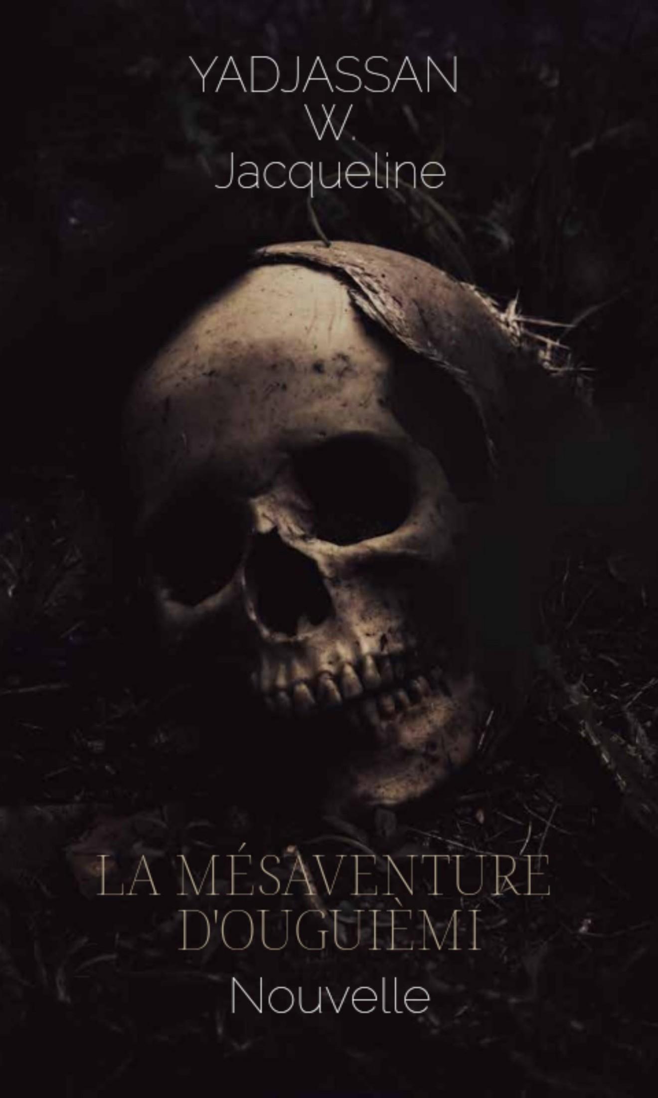 Couverture de La mésaventure d'Ouguièmi