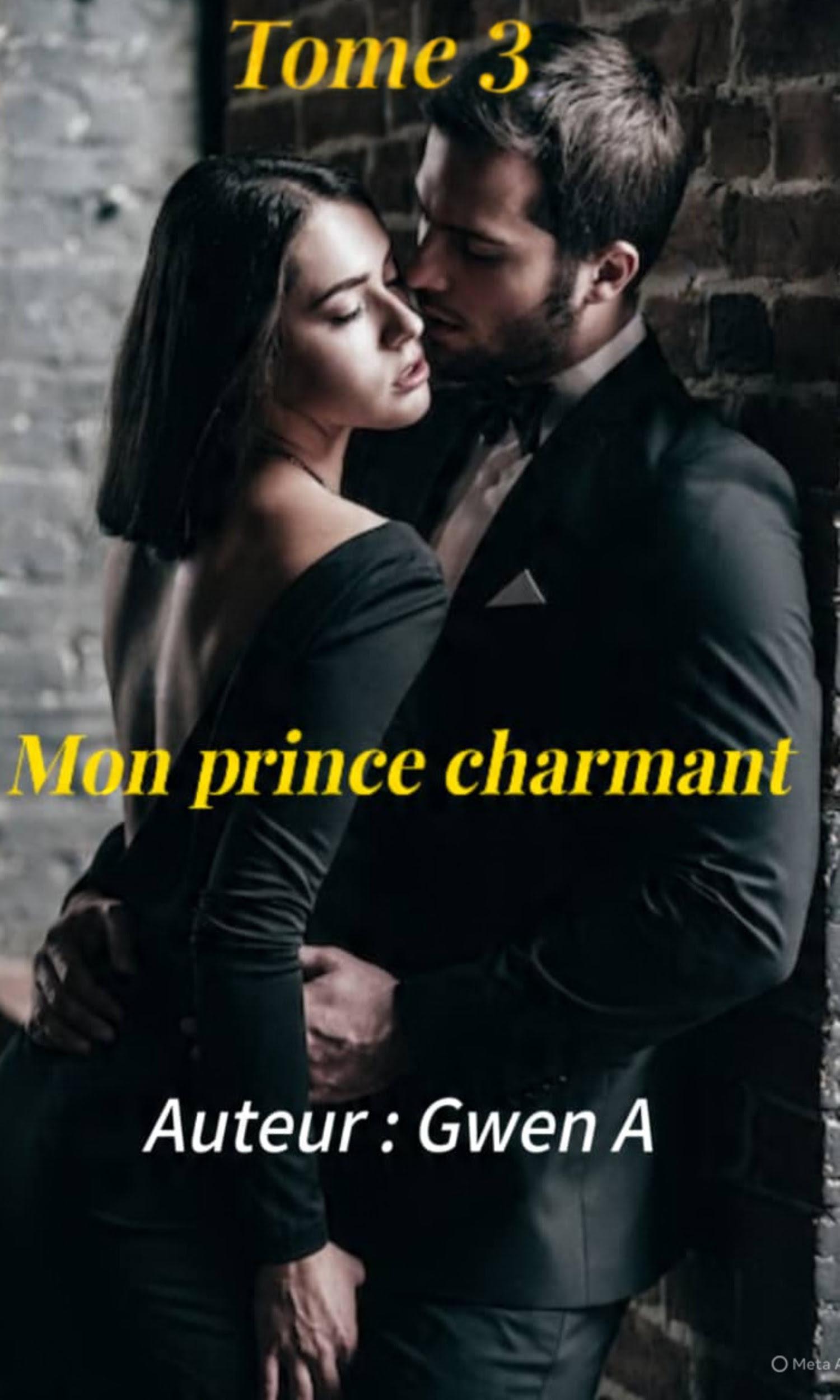Couverture de Mon prince charmant tome 3 