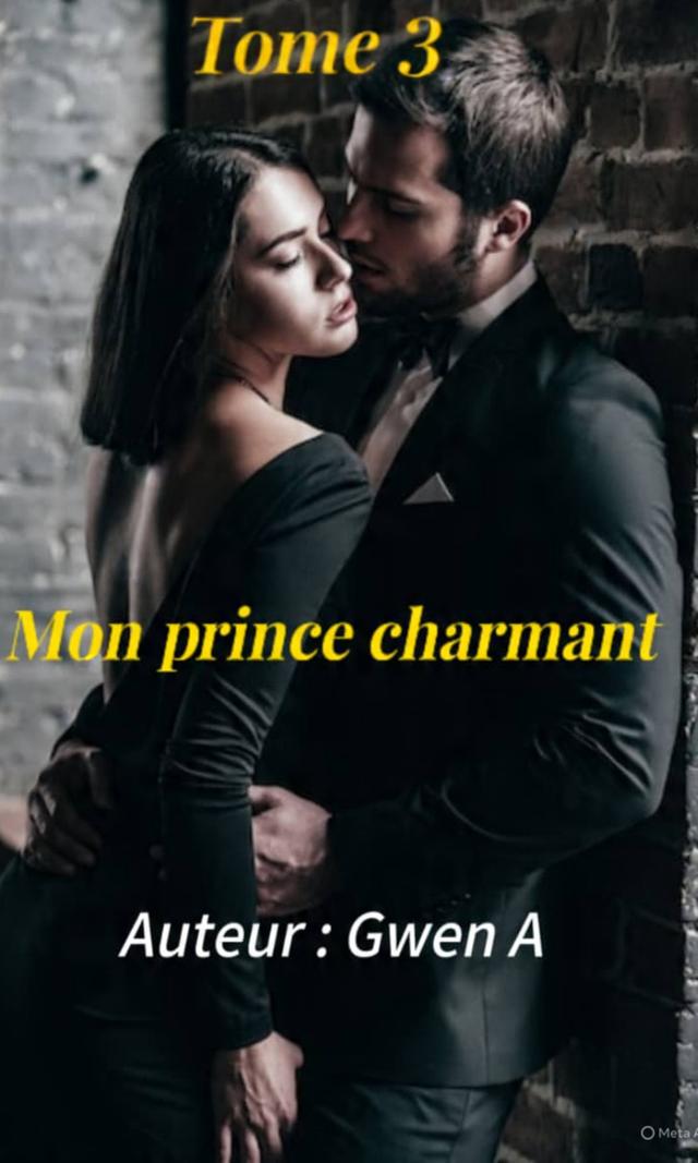 Couverture de Mon prince charmant tome 3 