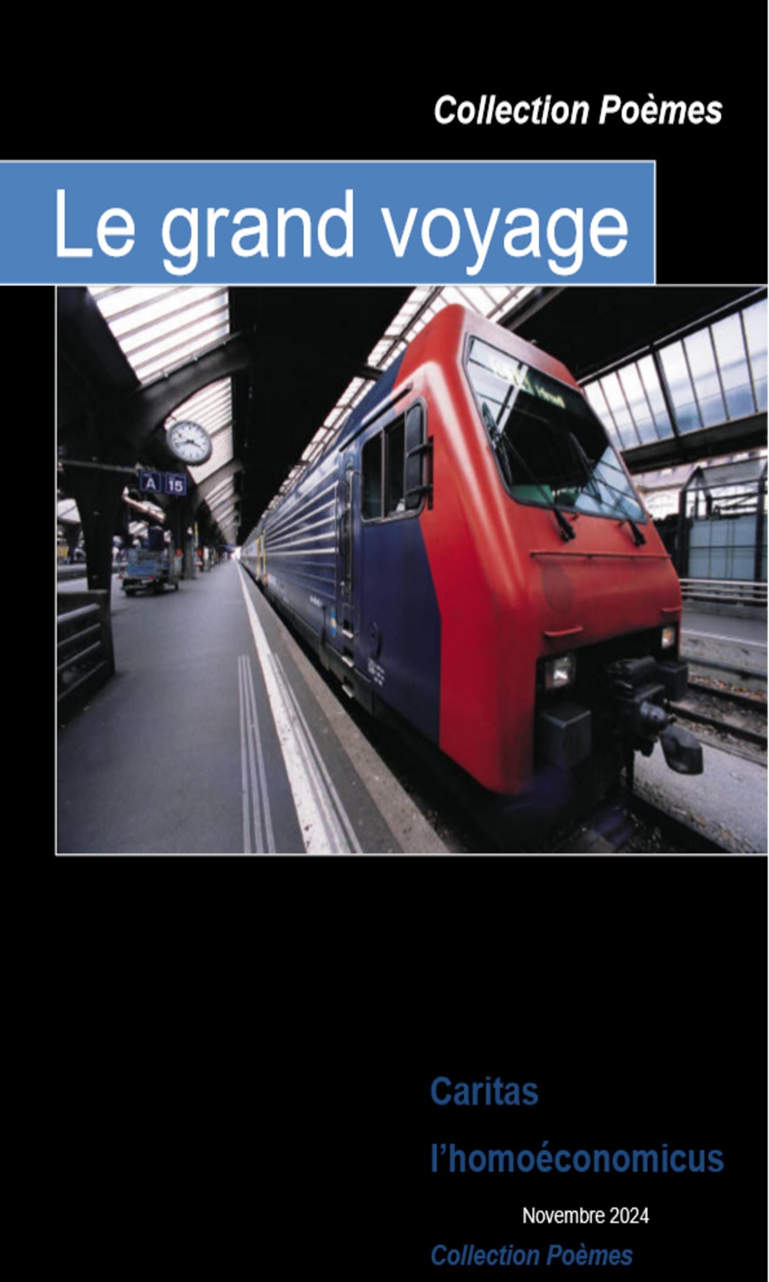Couverture de Le grand voyage