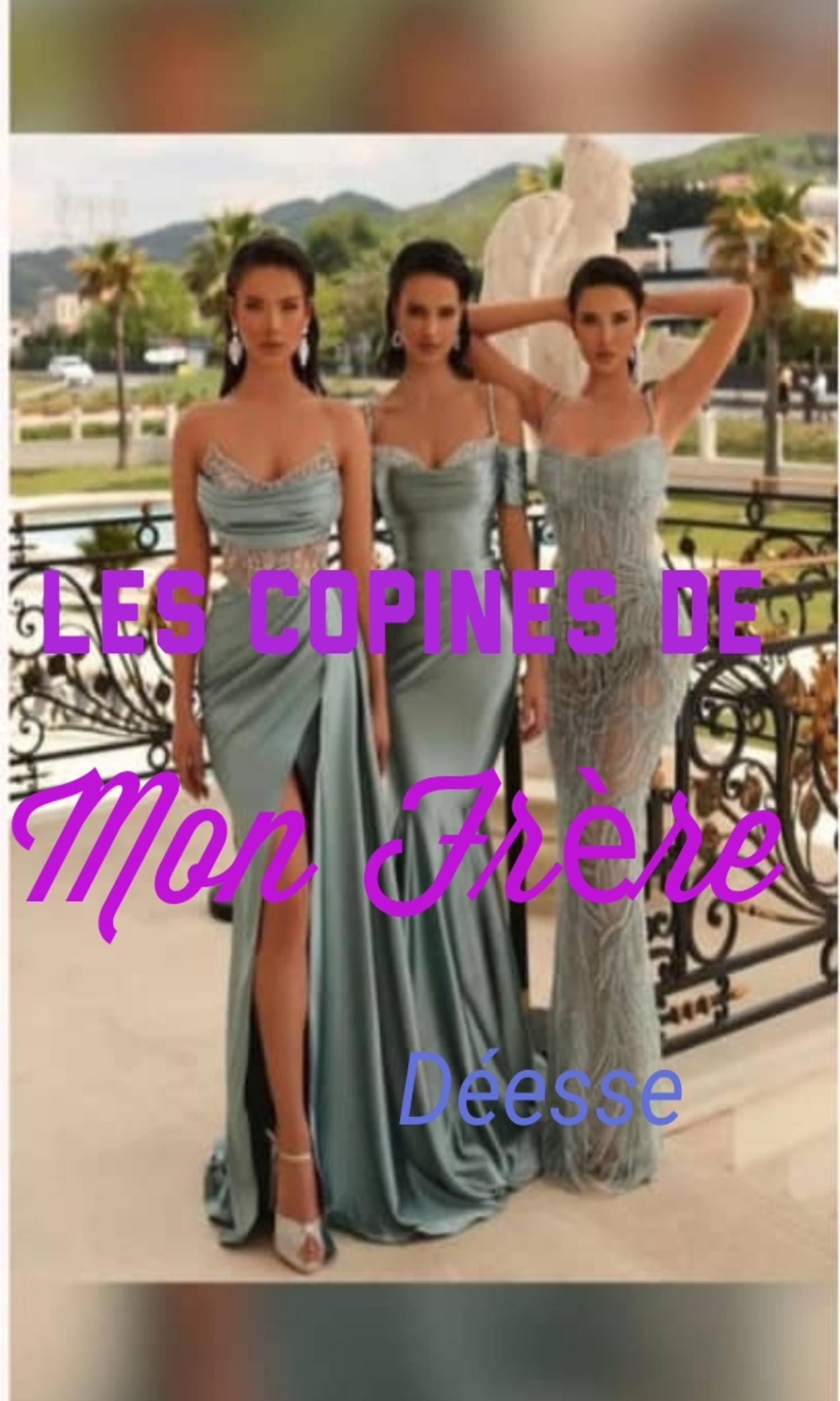 Couverture de Les copines de mon frère